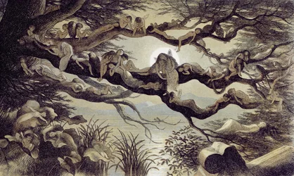 Slapend in het Maanlicht